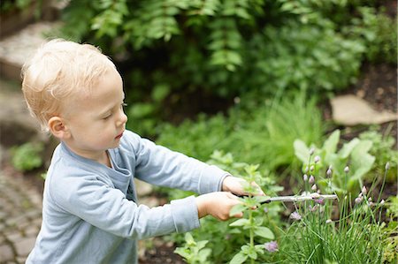 simsearch:649-05801120,k - Toddler boy trimming plants in backyard Photographie de stock - Premium Libres de Droits, Code: 614-08867991