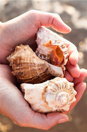 picture with three colored cups - Close up of woman holding seashells Stock Photo - Premium Royalty-Free, Code: 614-08868204