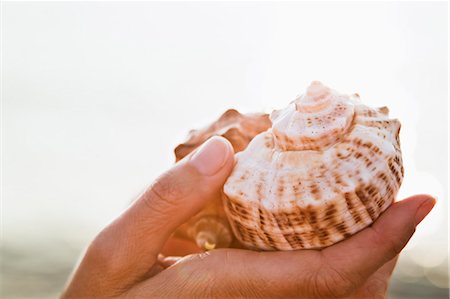 shell woman - Close up of woman holding seashell Stock Photo - Premium Royalty-Free, Code: 614-08868205