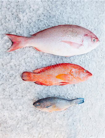 Varieties of fish on ice bed Photographie de stock - Premium Libres de Droits, Code: 614-08868439