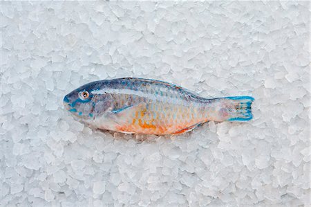 simsearch:6102-08384425,k - Close up of butter fish on ice bed Foto de stock - Sin royalties Premium, Código: 614-08868441