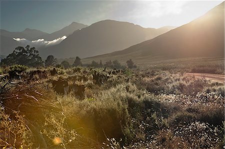 simsearch:400-08431950,k - Grassy meadow in rural landscape Photographie de stock - Premium Libres de Droits, Code: 614-08869023