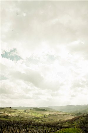 simsearch:614-08869721,k - Empty vineyard under cloudy sky Foto de stock - Sin royalties Premium, Código: 614-08869052