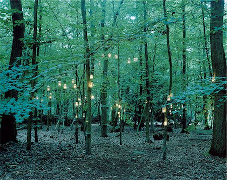 simsearch:614-08869465,k - Lanterns hanging from trees in forest Photographie de stock - Premium Libres de Droits, Code: 614-08869460