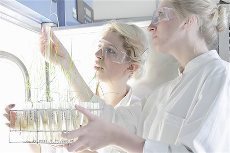 Scientists examining test tubes in lab Foto de stock - Sin royalties Premium, Código: 614-08869501