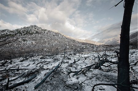 simsearch:614-06624792,k - Bare trees and rocks in snowy field Photographie de stock - Premium Libres de Droits, Code: 614-08869842