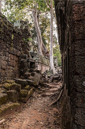 simsearch:614-08875205,k - Trees growing through the Ta Prohm Temple ruins at  Angkor Wat, Siem Reap, Cambodia Stock Photo - Premium Royalty-Free, Code: 614-08875206