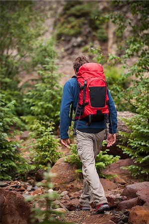 san-juan-gebirge - Man hiking with red backpack, San Juan Mountains near Ouray, Colorado Stockbilder - Premium RF Lizenzfrei, Bildnummer: 614-08876484