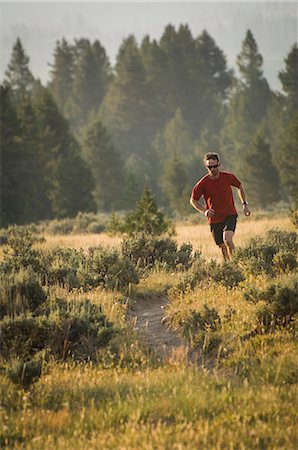 simsearch:614-08876523,k - Male trail runner in Bighorn Pass Trail in the Gallatin Range, Yellowstone National Park, Wyoming, USA Foto de stock - Royalty Free Premium, Número: 614-08876517