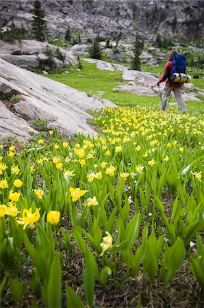 simsearch:614-08876523,k - Woman backpacking near Upper Lake in Hell Canyon, Indian Peaks Wilderness, Colorado, USA Foto de stock - Royalty Free Premium, Número: 614-08876566