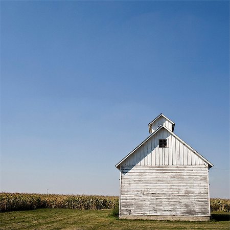 Whitewashed wooden barn in field with blue sky Photographie de stock - Premium Libres de Droits, Code: 614-08877036
