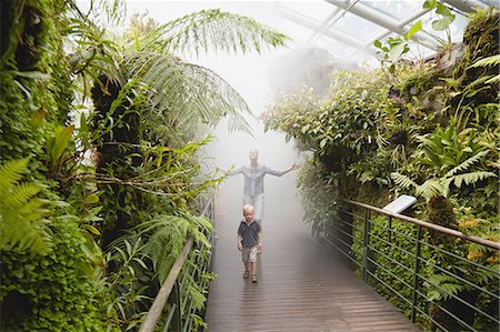 Boy and mother in humid tropical greenhouse, Botanical Gardens, Singapore Stock Photo - Premium Royalty-Free, Code: 614-08877284