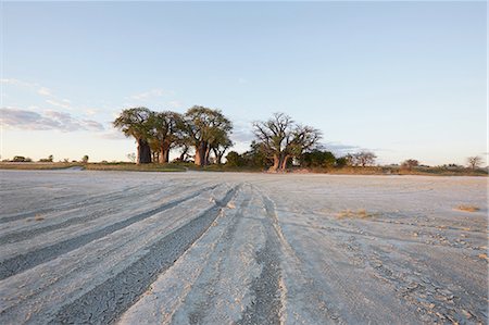 Nxai Pan National Park by day, Kalahari Desert, Africa Photographie de stock - Premium Libres de Droits, Code: 614-08877446