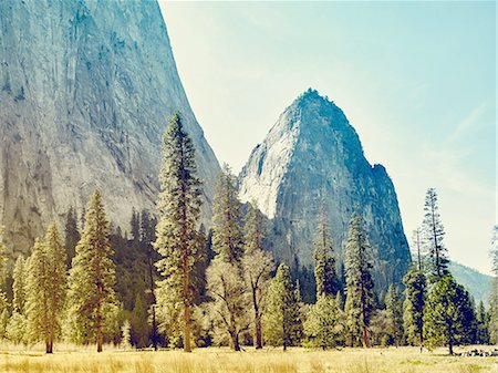 Mountains and forest, Yosemite National Park, California, USA Stock Photo - Premium Royalty-Free, Code: 614-08877504