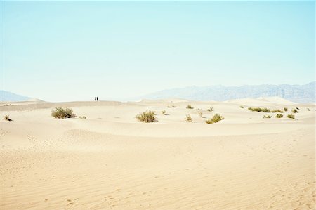 simsearch:649-08968980,k - Two tourists on Mesquite Dunes, Death Valley, California, USA Photographie de stock - Premium Libres de Droits, Code: 614-08877548