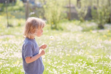 simsearch:614-06336452,k - Young boy outdoors,  blowing dandelion Stock Photo - Premium Royalty-Free, Code: 614-08877588
