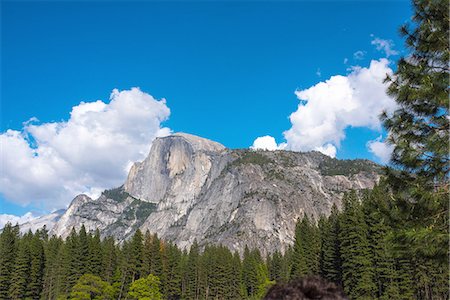 View of mounain forest, Yosemite National Park, California, USA Photographie de stock - Premium Libres de Droits, Code: 614-08877731