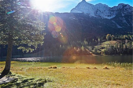 ehrwald - Scenic view, Ehrwald, Tyrol, Austria Stock Photo - Premium Royalty-Free, Code: 614-08877888