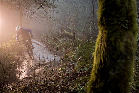 Young male mountain biker riding over forest rock Photographie de stock - Premium Libres de Droits, Code: 614-08878384