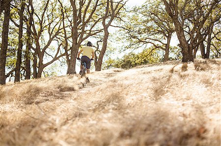 Elevated view of young man mountain biking up woodland hill, Mount Diablo, Bay Area, California, USA Stock Photo - Premium Royalty-Free, Code: 614-08878609