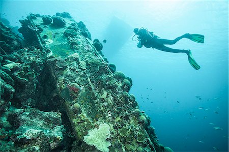 simsearch:649-09208950,k - Diver examining underwater reef Fotografie stock - Premium Royalty-Free, Codice: 614-08870091