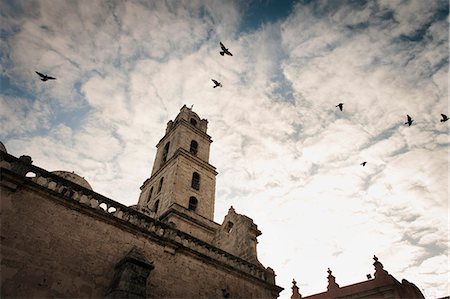 Birds flying over cathedral tower Stockbilder - Premium RF Lizenzfrei, Bildnummer: 614-08870169