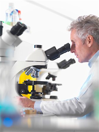simsearch:614-08870945,k - Scientist using microscope in lab Stock Photo - Premium Royalty-Free, Code: 614-08870248