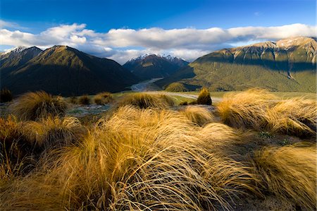 simsearch:649-06433192,k - Tall grass tufts in rural landscape Foto de stock - Sin royalties Premium, Código: 614-08870266