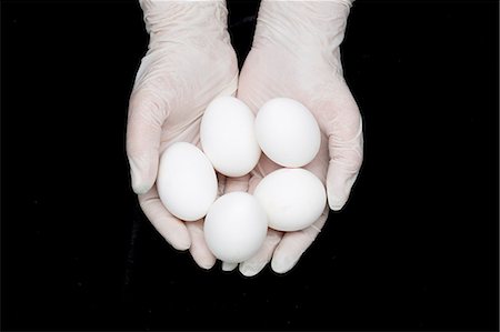 simsearch:632-03500500,k - Gloved hands holding eggs Photographie de stock - Premium Libres de Droits, Code: 614-08870811