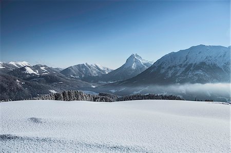 seefeld - Trees on snowy mountainside Foto de stock - Sin royalties Premium, Código: 614-08871045