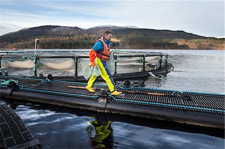 simsearch:649-08004137,k - Worker on salmon farm in rural lake Stock Photo - Premium Royalty-Free, Code: 614-08871301