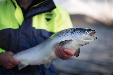 fish farm - Worker holding salmon by rural lake Stock Photo - Premium Royalty-Free, Code: 614-08871326