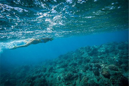 Snorkeler swimming in coral Foto de stock - Royalty Free Premium, Número: 614-08871413