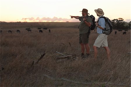 springbok (south africa) - People watching wildlife on safari, Stellenbosch, South Africa Foto de stock - Sin royalties Premium, Código: 614-08871509