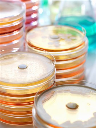 Antibiotic drugs being tested to see how resistant they are to bacteria Photographie de stock - Premium Libres de Droits, Code: 614-08871502