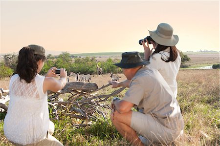 People photographing wildlife on safari, Stellenbosch, South Africa Stock Photo - Premium Royalty-Free, Code: 614-08871519