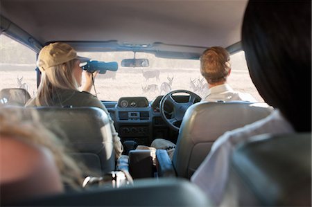 stellenbosch - People watching wildlife through windscreen, Stellenbosch, South Africa Stock Photo - Premium Royalty-Free, Code: 614-08871543