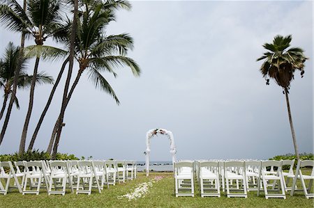 palm trees in rows - Destination wedding location, Kauai, Hawaii, USA Stock Photo - Premium Royalty-Free, Code: 614-08872008