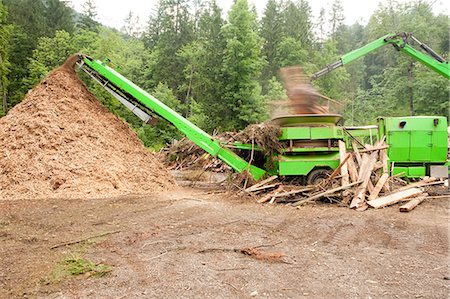 Pile of wood chippings and green truck Photographie de stock - Premium Libres de Droits, Code: 614-08872415