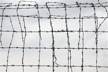 simsearch:6118-09059537,k - Barbed wire fence, Hue, Vietnam   , Vietnam Stock Photo - Premium Royalty-Free, Code: 614-08872991