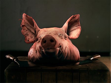 Pig's head Stock Photo - Premium Royalty-Free, Code: 614-08873477