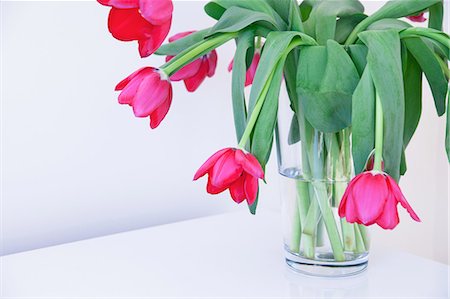 simsearch:622-06191141,k - Pink tulips in glass vase, close up Foto de stock - Sin royalties Premium, Código: 614-08873648