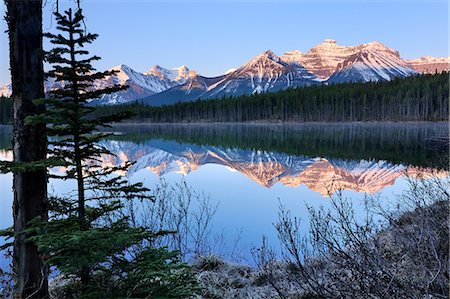 deserts rocks - Herbert Lake and Bow Range, Banff National Park, Alberta, Canada Photographie de stock - Premium Libres de Droits, Code: 614-08873984