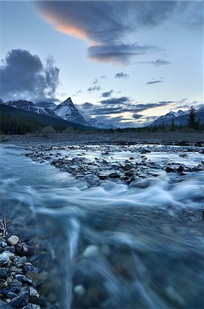 simsearch:614-08873988,k - Silverhorn Creek, Banff National Park, Alberta, Canada Photographie de stock - Premium Libres de Droits, Code: 614-08873994