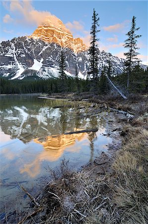 simsearch:614-08873988,k - Lower Waterfowl Lake and Mount Chephren, Banff National Park, Alberta, Canada Photographie de stock - Premium Libres de Droits, Code: 614-08873997