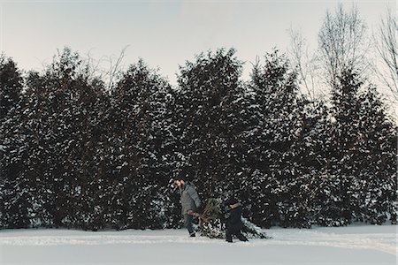 dragging christmas tree - Father and daughter out getting their own Christmas tree Stock Photo - Premium Royalty-Free, Code: 614-08884570