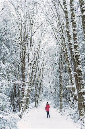 Woman in spruce forest, Bainbridge Island, Washington, US Stock Photo - Premium Royalty-Free, Code: 614-08885052
