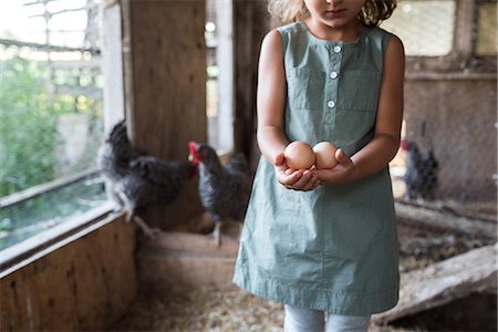 Girl in chicken coop, holding fresh eggs, mid section Photographie de stock - Premium Libres de Droits, Code: 614-08880760