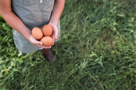 simsearch:614-08880760,k - Young girl holding fresh eggs, low section Foto de stock - Royalty Free Premium, Número: 614-08880763