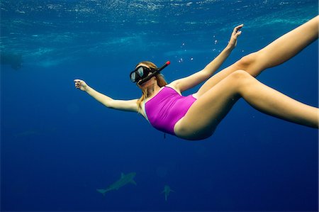 swimming (animals) - Underwater view of woman snorkeling with sea life, Oahu, Hawaii, USA Stock Photo - Premium Royalty-Free, Code: 614-08880845